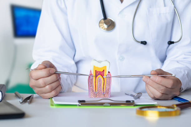Best Weekend Emergency Dentist in Moorefield, WV